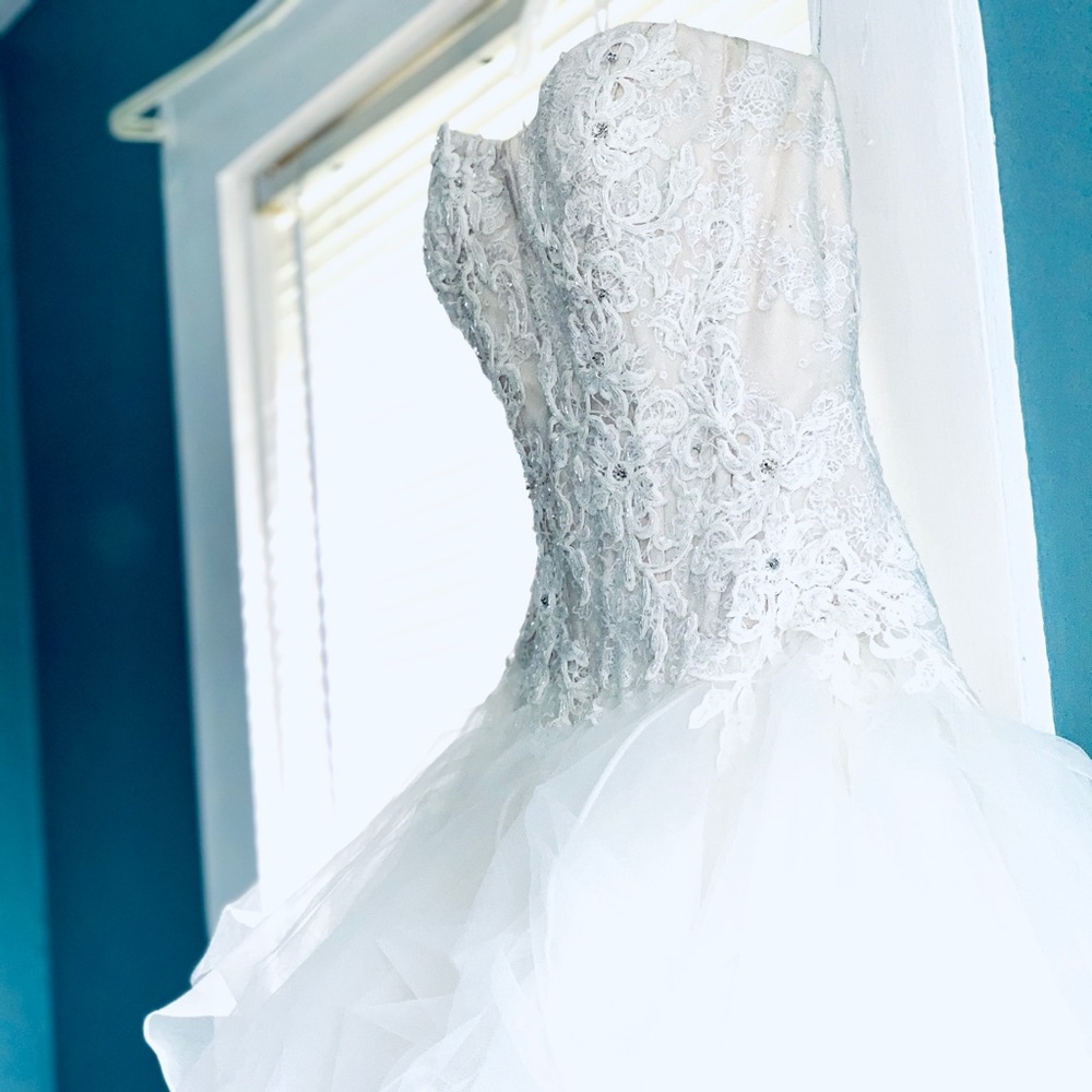 Oleg Cassini Wedding Dress and Vera Wang Veil